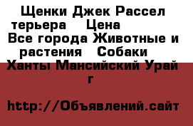 Щенки Джек Рассел терьера  › Цена ­ 15 000 - Все города Животные и растения » Собаки   . Ханты-Мансийский,Урай г.